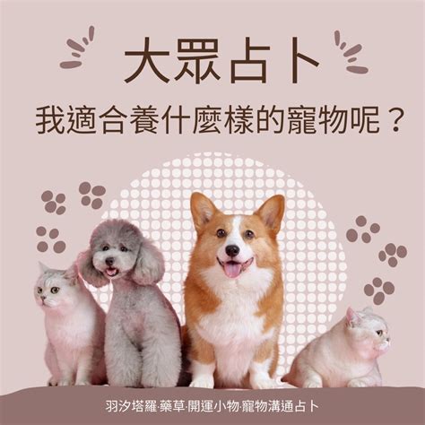 台湾算命大师 家裡適合養什麼寵物